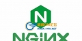 nginx-1.24.0վwebwin